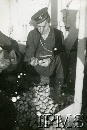 Lipiec 1944, brak miejsca. 
ORP Piorun, marynarz obiera ziemniaki.
Fot. NN, Instytut Polski i Muzeum im. gen. Sikorskiego w Londynie [szuflada 39, sygnatura 40166]