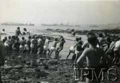 Wrzesień 1944, brak miejsca.
Załoga ORP Piorun.
Fot. NN, Instytut Polski i Muzeum im. gen. Sikorskiego w Londynie [szuflada 39, sygnatura 40184]