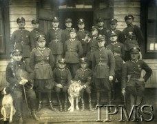 Lata 20., Iwieniec, Polska.
Podoficerowie szwadronu kawalerii Korpusu Ochrony Pogranicza z psami.
Fot. NN, Instytut Polski i Muzeum im. gen. Sikorskiego w Londynie, przekazał kpt Jan Sas-Tatomir. [album B22]