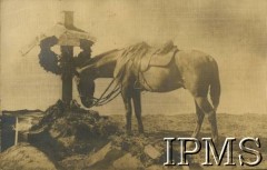 1920, Ukraina.
Koń nad grobem plutonowego Jerzego Bąkowskiego z 2 Pułku Ułanów Grochowskich, poległego 5 października 1920 roku w szarży pod Zwiahlem na Ukrainie.
Fot. NN, Instytut Polski i Muzeum im. gen. Sikorskiego w Londynie [album 101 - 2 Pułk Ułanów Grochowskich podczas wojny 1920 r.]