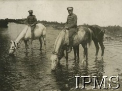 1919-1921, Polska.
Kawalerzyści 2 Pułku Ułanów Grochowskich poją konie w rzece.
Fot. NN, Instytut Polski i Muzeum im. gen. Sikorskiego w Londynie [album 101 - 2 Pułk Ułanów Grochowskich podczas wojny 1920 r.]