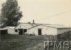 Ok. 1960, Anglia, Wielka Brytania.
Generał Marian Żegota Januszajtis przed budynkami pieczarkarni.
Fot. NN, Instytut Polski i Muzeum im. gen. Sikorskiego w Londynie [album nr 10 - gen. Marian Żegota-Januszajtis].