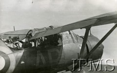1940-1943, Szkocja, Wielka Brytania.
309 Dywizjon Współpracy z Armią, pilot w kabinie samolotu Westland Lysander, 
Fot. NN, Instytut Polski i Muzeum im. gen. Sikorskiego w Londynie