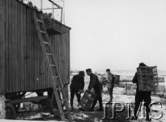 Lata 20., Polska.
Gołębnik polowy, żołnierze wkładają gołębie do klatek.
Fot. NN, Instytut Polski i Muzeum im. gen. Sikorskiego w Londynie