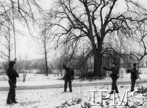 Lata 20., Polska.
Pluton łączności piechoty podczas budowy polowej linii telefonicznej.
Fot. NN, Instytut Polski i Muzeum im. gen. Sikorskiego w Londynie