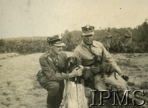 1931, prawdopodobnie okolice Puław, Polska.
Saperzy z jamnikami w czasie ćwiczeń z minerstwa.
Fot. NN, Instytut Polski i Muzeum im. gen. Sikorskiego w Londynie [Album pamiątkowy za lata 1930-1939 2-ego Pułku Saperów Kaniowskich]