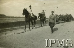 1932, Wołyń, Polska.
Żołnierze 2. Batalionu Saperów Kaniowskich biorą udział w manewrach.  Przemarsz zamaskowanej kolumny dywizyjnej.
Fot. NN, Instytut Polski i Muzeum im. gen. Sikorskiego w Londynie [Album pamiątkowy za lata 1930-1939 2-ego Pułku Saperów Kaniowskich]