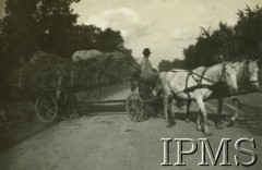 1932, Wołyń, Polska.
Żołnierze 2. Batalionu Saperów Kaniowskich biorą udział w manewrach.  Przemarsz zamaskowanej kolumny dywizyjnej.
Fot. NN, Instytut Polski i Muzeum im. gen. Sikorskiego w Londynie [Album pamiątkowy za lata 1930-1939 2-ego Pułku Saperów Kaniowskich]

