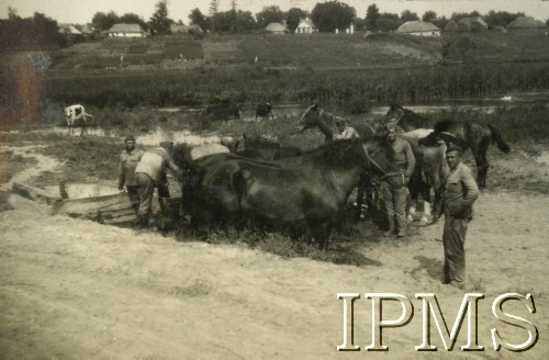 1932, Wołyń, Polska.
Żołnierze 2. Batalionu Saperów Kaniowskich biorą udział w manewrach.  Czyszczenie koni w czasie postoju.
Fot. NN, Instytut Polski i Muzeum im. gen. Sikorskiego w Londynie [Album pamiątkowy za lata 1930-1939 2-ego Pułku Saperów Kaniowskich]
