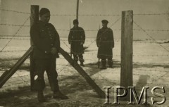 1940, Targu-Jiu, Rumunia.
Obóz internowania dla żołnierzy Wojska Polskiego. Na pierwszym planie polski żołnierz, za ogrodzeniem obozu dwaj rumuńscy żołnierze z karabinami i nałożonymi na lufy bagnetami.
Fot. Stanisław Sarek,  Instytut Polski i Muzeum im. gen. Sikorskiego [album 324 przekazany przez Andre Arbitre za pośrednictwem Zofii Sereskiej - żołnierze w Targu-Jiu w Rumunii]