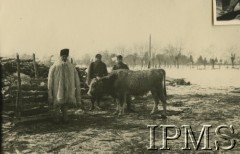 1940, Targu-Jiu, Rumunia.
Obóz internowania dla żołnierzy Wojska Polskiego. Polacy żołnierze z rumuńskim chłopem.
Fot. Stanisław Sarek,  Instytut Polski i Muzeum im. gen. Sikorskiego [album 324 przekazany przez Andre Arbitre za pośrednictwem Zofii Sereskiej - żołnierze w Targu-Jiu w Rumunii]