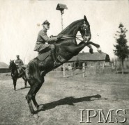 1919-1920, brak miejsca.
Ppłk Władysław Anders, dowódca 15 Pułku Ułanów podczas wojny polsko-bolszewickiej.
Fot. NN, Instytut Polski i Muzeum im. gen. Sikorskiego w Londynie


