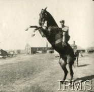 1919-1920, brak miejsca.
Ppłk Władysław Anders, dowódca 15 Pułku Ułanów podczas wojny polsko-bolszewickiej.
Fot. NN, Instytut Polski i Muzeum im. gen. Sikorskiego w Londynie

