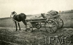 1919-1920, brak miejsca.
Zbieranie ciał poległych żołnierzy z pola bitwy - zwłoki na wozie.
Fot. NN, Instytut Polski i Muzeum im. gen. Sikorskiego w Londynie

