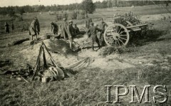 1919-1920, brak miejsca.
Zamaskowane działo na stanowisku artyleryjskim. Na pierwszym planie karabiny ustawione w kozły.
Fot. NN, Instytut Polski i Muzeum im. gen. Sikorskiego w Londynie

