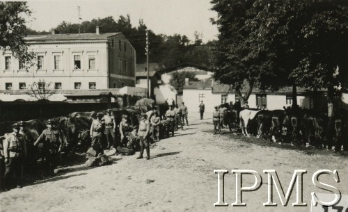 1932, Koronowo, Polska.
Biwak 10 Dywizjon Artylerii Konnej podczas marszu do punktu koncentracyjnego. 
Fot. NN, Instytut Polski i Muzeum im. gen. Sikorskiego [album 415e - Dywizjon Artylerii Konnej]