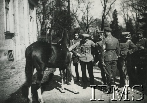 1920-1935, Polska.
Marszałek Józef Piłsudski z oficerami Wojska Polskiego ogląda konia. 
Fot. NN, Instytut Polski i Muzeum im. gen. Sikorskiego [album 415j - Dywizjon Artylerii Konnej]