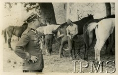 1921-1939, Polska.
Oficer i żołnierze Wojska Polskiego przy koniach. 
Fot. NN, Instytut Polski i Muzeum im. gen. Sikorskiego w Londynie