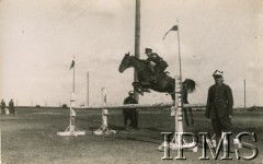 1920-1939, Polska.
Oficer 3 Pułku Szwoleżerów Mazowieckich im. Pułkownika Jana Kozietulskiego na koniu skacze przez przeszkodę.
Fot. NN, Instytut Polski i Muzeum im. gen. Sikorskiego w Londynie [teczka 3 Pułk Szwoleżerów]