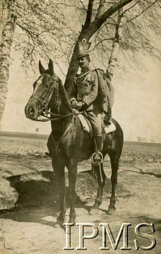 Lata 20., Polska.
Beliniak podporucznik Skarga w mundurze galowym.
Fot. NN, Instytut Polski i Muzeum im. gen. Sikorskiego w Londynie [koperta Koło 1 Pułku Szwoleżerów, kolekcja 617]