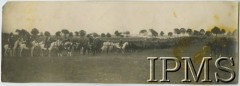 13.06.1927, Starogard, Polska
2 Pułk Szwoleżerów Rokitniańskich.
Fot. Instytut Polski i Muzeum im. gen. Sikorskiego w Londynie [koperta 2 Pułk Szwoleżerów]
