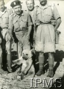 1942, Palestyna. 
Obóz Armii Polskiej na Wschodzie. Polscy żołnierze z niedźwiadkiem Wojtkiem.
Fot. NN, Instytut Polski im. gen. Sikorskiego w Londynie.