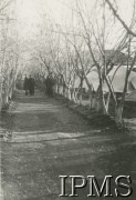 Wrzesień 1941, Tockoje, obł. Czkałowsk, ZSRR.
Obóz 6 Dywizji Piechoty.
Fot. NN, Instytut Polski i Muzeum im. gen. Sikorskiego w Londynie