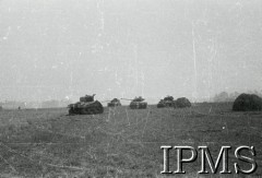 Sierpień 1944, Normandia, Francja.
1 Dywizja Pancerna podczas walk w Normandii. Pobojowisko.
Fot. NN, Instytut Polski i Muzeum im. gen. Sikorskiego w Londynie