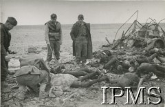 1941, Afryka Północna.
Teren walk aliantów z wojskami włoskimi. Polscy żołnierze nad ciałami zabitych.
Fot. NN, Instytut Polski im. Gen. Sikorskiego w Londynie [koperta - Włosi].