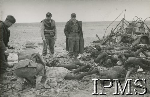 1941, Afryka Północna.
Teren walk aliantów z wojskami włoskimi. Polscy żołnierze nad ciałami zabitych.
Fot. NN, Instytut Polski im. Gen. Sikorskiego w Londynie [koperta - Włosi].