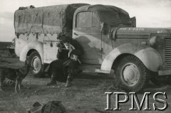 1941, Afryka Północna.
Polski żołnierz z psami przy samochodzie ciężarowym.
Fot. NN, Instytut Polski im. Gen. Sikorskiego w Londynie [koperta - Włosi].