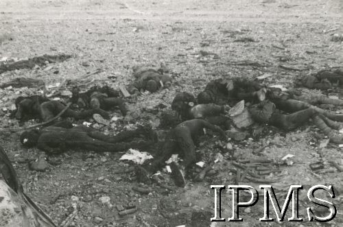 1941, Afryka Północna.
Teren walk aliantów z wojskami włoskimi. Ciała zabitych.
Fot. NN, Instytut Polski im. Gen. Sikorskiego w Londynie [koperta - Włosi].