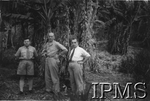 1942-1948, Uganda.
Przedstawiciel Delegatury Ministerstwa Pracy i Opieki Społecznej M. Szyszkowski, ks. prałat Regrzek i ks. dr Paulus w drodze do Masindi.
Fot. NN, Instytut Polski i Muzeum im. gen. Sikorskiego w Londynie [Afryka - teczka luzem].