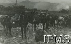 1944-1945, Włochy.
2 Korpus Polski podczas kampanii włoskiej, żołnierze z mułami na błotnistej drodze.
Fot. NN, Instytut Polski im. gen. Sikorskiego w Londynie, [album 144 - fot. z Włoch, dar Michniewicza z Buenos Aires 1.01.1961].