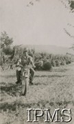 1944, Morze Adriatyckie (okolice), Włochy.
7 Pułk Artylerii Przeciwpancernej podczas kampanii włoskiej nad Morzem Adriatyckim. Żołnierz na motocyklu.
Fot. NN, Instytut Polski i Muzeum im. gen. Sikorskiego w Londynie, [album 164 - 7 Pułk Artylerii Przeciwpancernej, 19 XII 1945 Irak - Włochy].
