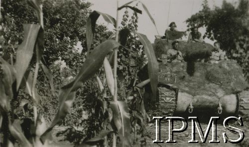 1944, Morze Adriatyckie (okolice), Włochy.
Żołnierze 7 Pułku Artylerii Przeciwpancernej w zamaskowanym czołgu.
Fot. NN, Instytut Polski i Muzeum im. gen. Sikorskiego w Londynie, [album 164 - 7 Pułk Artylerii Przeciwpancernej, 19 XII 1945 Irak - Włochy].