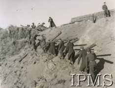 1941, Szkocja, Wielka Brytania.
Budowa umocnień na wschodnim wybrzeżu przez żołnierzy I Korpusu. Na zdjęciu saperzy przy pracy.
Fot. NN, Instytut Polski i Muzeum im. gen. Sikorskiego w Londynie [album 169 - wojsko w Szkocji 1941].