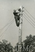 12.09.1946 - 15.07.1948, Niemcy.
Kursy przysposobienia zawodowego prowadzone przez Koło nr 601 Stowarzyszenia Polskich Weteranów w Ingolstadt. Na zdjęciu zajęcia praktyczne podczas kursu elektro - instalacyjnego.
Fot. NN, Instytut Polski i Muzeum im. gen. Sikorskiego w Londynie [album 227 - Stowarzyszenie Polskich Weteranów Koło nr 601, Ingolstadt Niemcy].