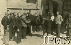 12.09.1946 - 15.07.1948, Niemcy.
Kursy przysposobienia zawodowego prowadzone przez Koło nr 601 Stowarzyszenia Polskich Weteranów w Ingolstadt. Fotografia wykonana podczas kursu weterynaryjno - hodowlanego.
Fot. NN, Instytut Polski i Muzeum im. gen. Sikorskiego w Londynie [album 227 - Stowarzyszenie Polskich Weteranów Koło nr 601, Ingolstadt Niemcy].