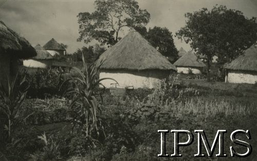 1943, Tengeru, Tanganika.
Domy jednorodzinne w osiedlu dla polskich uchodźców.
[Polscy uchodźcy w 1942 trafili do Iranu wraz z nowoutworzonym Wojskiem Polskim pod dowództwem generała Władysława Andersa (w dwóch rzutach ewakuacyjnych z ZSRR w marcu i sierpniu). W sumie oprócz wojska dotarło tam 38 tysięcy Polaków, z czego ponad połowę stanowiły dzieci i młodzież. Ok. 20 tys. znalazło się następnie w Afryce, polskie osiedla znajdowały się przede wszystkim w: Ugandzie, Kenii, Tanganice, Rodezji Północnej i Rodezji Południowej, Związku Południowej Afryki. Tengeru było największym polskim osiedlem uchodźczym w Afryce].
Fot. NN, Instytut Polski i Muzeum im. gen. Sikorskiego w Londynie [album 288 - gen. Andersowi uchodźstwo w Afryce Wsch. 19.07.1943, w albumie dedykacja: panu generałowi Władysławowi Andersowi w imieniu uchodźstwa w Afryce inż. K. Kazimierczak, delegat MPiOS Nairobi].
