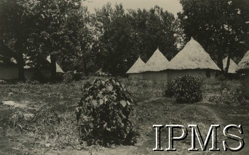 1943, Tengeru, Tanganika.
Domy jednorodzinne w osiedlu dla polskich uchodźców.
[Polscy uchodźcy w 1942 trafili do Iranu wraz z nowoutworzonym Wojskiem Polskim pod dowództwem generała Władysława Andersa (w dwóch rzutach ewakuacyjnych z ZSRR w marcu i sierpniu). W sumie oprócz wojska dotarło tam 38 tysięcy Polaków, z czego ponad połowę stanowiły dzieci i młodzież. Ok. 20 tys. znalazło się następnie w Afryce, polskie osiedla znajdowały się przede wszystkim w: Ugandzie, Kenii, Tanganice, Rodezji Północnej i Rodezji Południowej, Związku Południowej Afryki. Tengeru było największym polskim osiedlem uchodźczym w Afryce].
Fot. NN, Instytut Polski i Muzeum im. gen. Sikorskiego w Londynie [album 288 - gen. Andersowi uchodźstwo w Afryce Wsch. 19.07.1943, w albumie dedykacja: panu generałowi Władysławowi Andersowi w imieniu uchodźstwa w Afryce inż. K. Kazimierczak, delegat MPiOS Nairobi].
