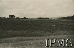 1943, Ifunda, Tanganika.
Pole przy osiedlu dla polskich uchodźców.
[Polscy uchodźcy w 1942 trafili do Iranu wraz z nowoutworzonym Wojskiem Polskim pod dowództwem generała Władysława Andersa (w dwóch rzutach ewakuacyjnych z ZSRR w marcu i sierpniu). W sumie oprócz wojska dotarło tam 38 tysięcy Polaków, z czego ponad połowę stanowiły dzieci i młodzież. Ok. 20 tys. znalazło się następnie w Afryce, polskie osiedla znajdowały się przede wszystkim w: Ugandzie, Kenii, Tanganice, Rodezji Północnej i Rodezji Południowej, Związku Południowej Afryki].
Fot. NN, Instytut Polski i Muzeum im. gen. Sikorskiego w Londynie [album 288 - gen. Andersowi uchodźstwo w Afryce Wsch. 19.07.1943, w albumie dedykacja: panu generałowi Władysławowi Andersowi w imieniu uchodźstwa w Afryce inż. K. Kazimierczak, delegat MPiOS Nairobi].
