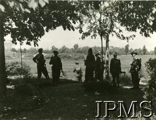 1944-1945, Włochy.
2 Korpus Polski podczas kampanii włoskiej, obserwacja terenu.
Fot. NN, Instytut Polski i Muzeum im. gen. Sikorskiego w Londynie [album 369 - 3 Dywizja Strzelców Karpackich].