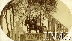 Przed 1939, Polska.
Zawody hippiczne, skok przez przeszkodę.
Fot. NN, Instytut Polski i Muzeum im. gen. Sikorskiego w Londynie [album 370 - 5 i 7 Pułk Strzelców Konnych; Żebrowski]