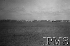 1945, Egipt.
Obóz przejściowy dla wojska polskiego, namioty kompanii zapasowej.
Fot. NN, Instytut Polski i Muzeum im. gen. Sikorskiego w Londynie [album 92 - Dowódcy JWSW żołnierze obozu przejściowego  Egipt 19 III 1945]