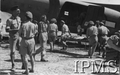 1944-1945, Włochy.
2 Korpus Polski w trakcie kampanii włoskiej. Transport rannych żołnierzy.
Fot. NN, Instytut Polski i Muzeum im. gen. Sikorskiego w Londynie, [koperta 2 Korpus Polski].