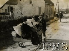 1944, Zevenbergschen Hoek, Holandia.
Starsza kobieta wywożona na wózku ze zniszczonej wsi, w której mieszkała przez całe życie. Dwie godziny wcześniej Niemcy przeszli przez tą miejscowość wycofując się w kierunku mostów na Hollandsch Diep.  
Fot. NN, Instytut Polski i Muzeum im. gen. Sikorskiego w Londynie [szuflada 44 - Belgia, Holandia]