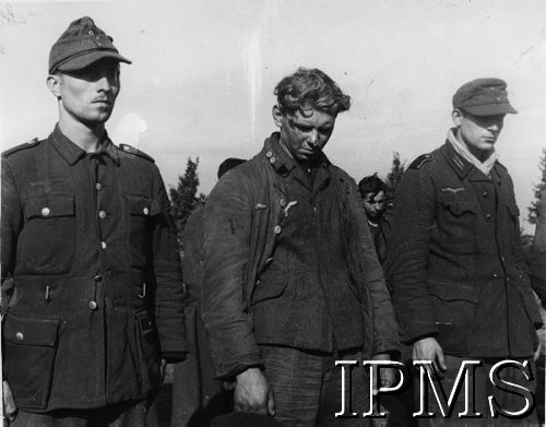 Po 29.10.1944, Breda, Holandia.
Jeńcy niemieccy pojmani przez żołnierzy z 1 Dywizji Pancernej podczas opanowywania miasta.
Fot. NN, Instytut Polski i Muzeum im. gen. Sikorskiego w Londynie [szuflada 44 - Belgia, Holandia]
