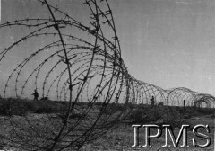 1941-1942, Afryka Północna.
Drut kolczasty, w oddali widoczni żołnierze.
Fot. NN, Instytut Polski i Muzeum im. gen. Sikorskiego w Londynie [szuflada NXI].
