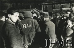 Wrzesień 1944, Francja.
Polscy ochotnicy zgłaszający się do wojska po wyzwoleniu Francji z okupacji niemieckiej.
Fot. NN, Instytut Polski i Muzeum im. gen. Sikorskiego w Londynie [szuflada NX]